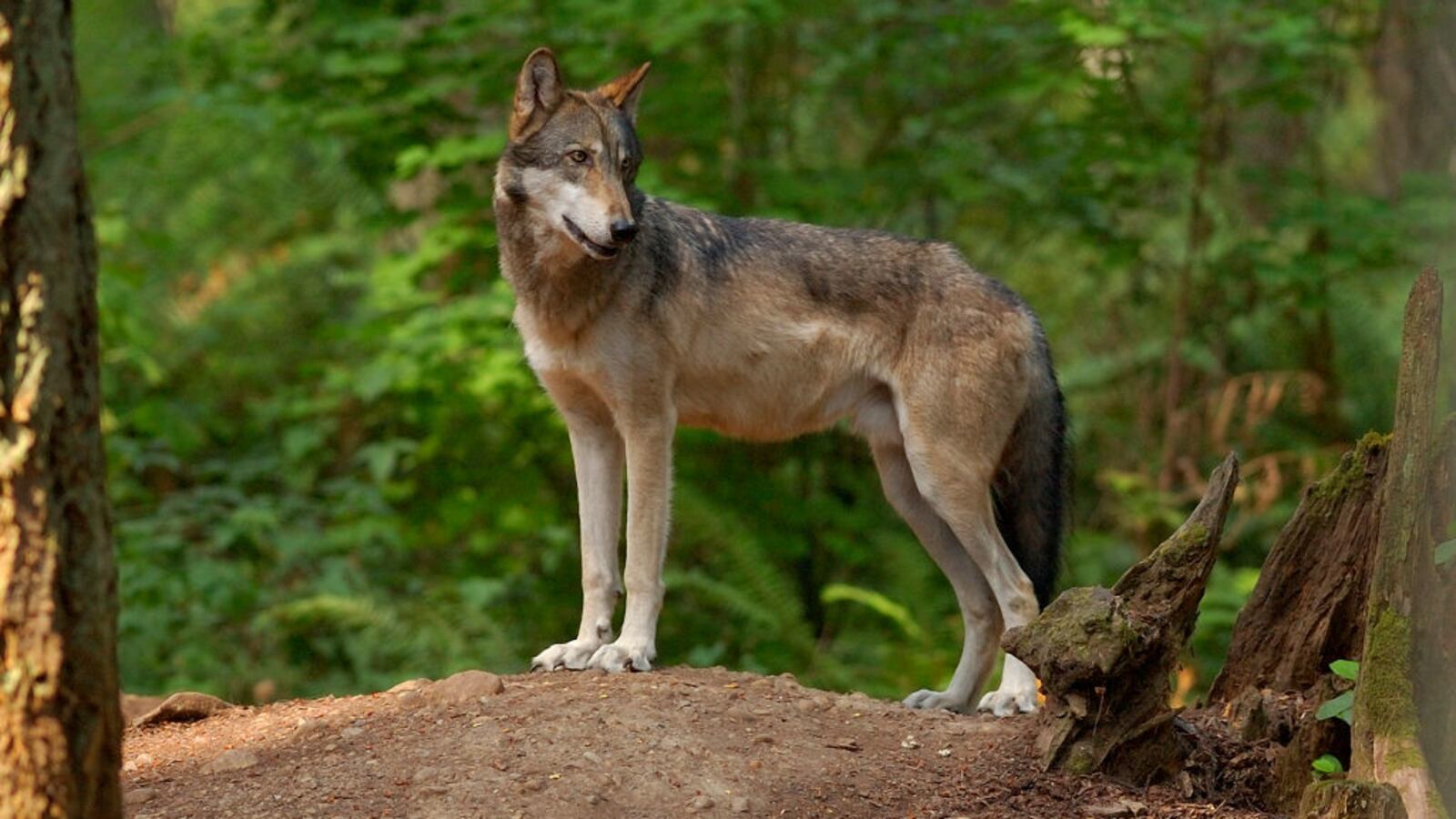 GettyImages-687143794_x8ujn2