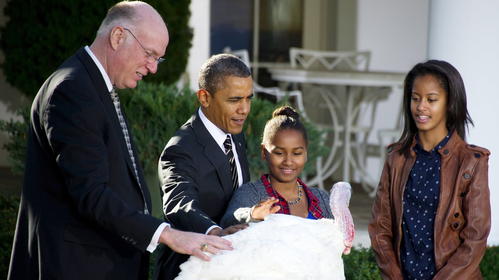 cheats/2012/11/21/obama-pardons-two-turkeys/obama-turkey-pardon-2012_nkmnin