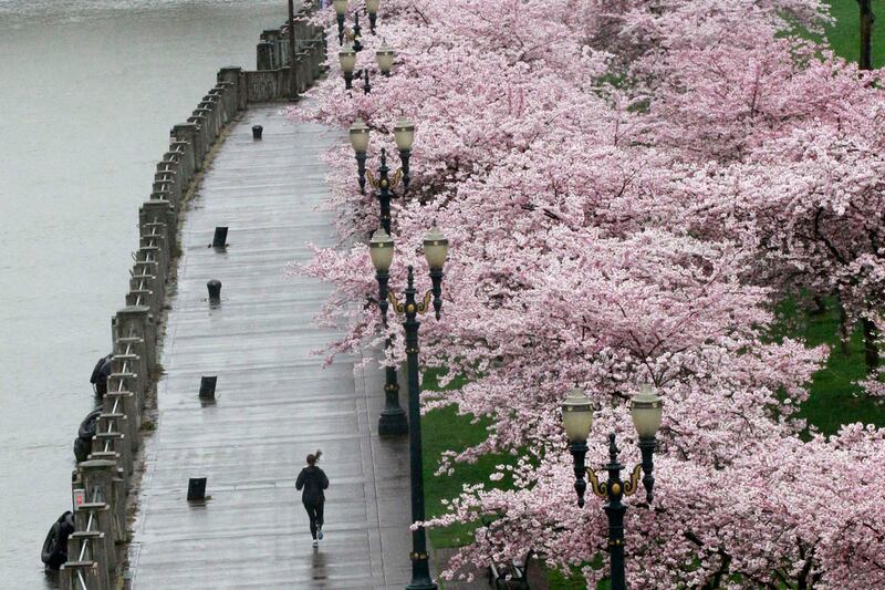 galleries/2012/04/20/america-s-greenest-cities-2012-from-new-york-to-san-francisco/greenest-cities-9-portland-or_io8pzu