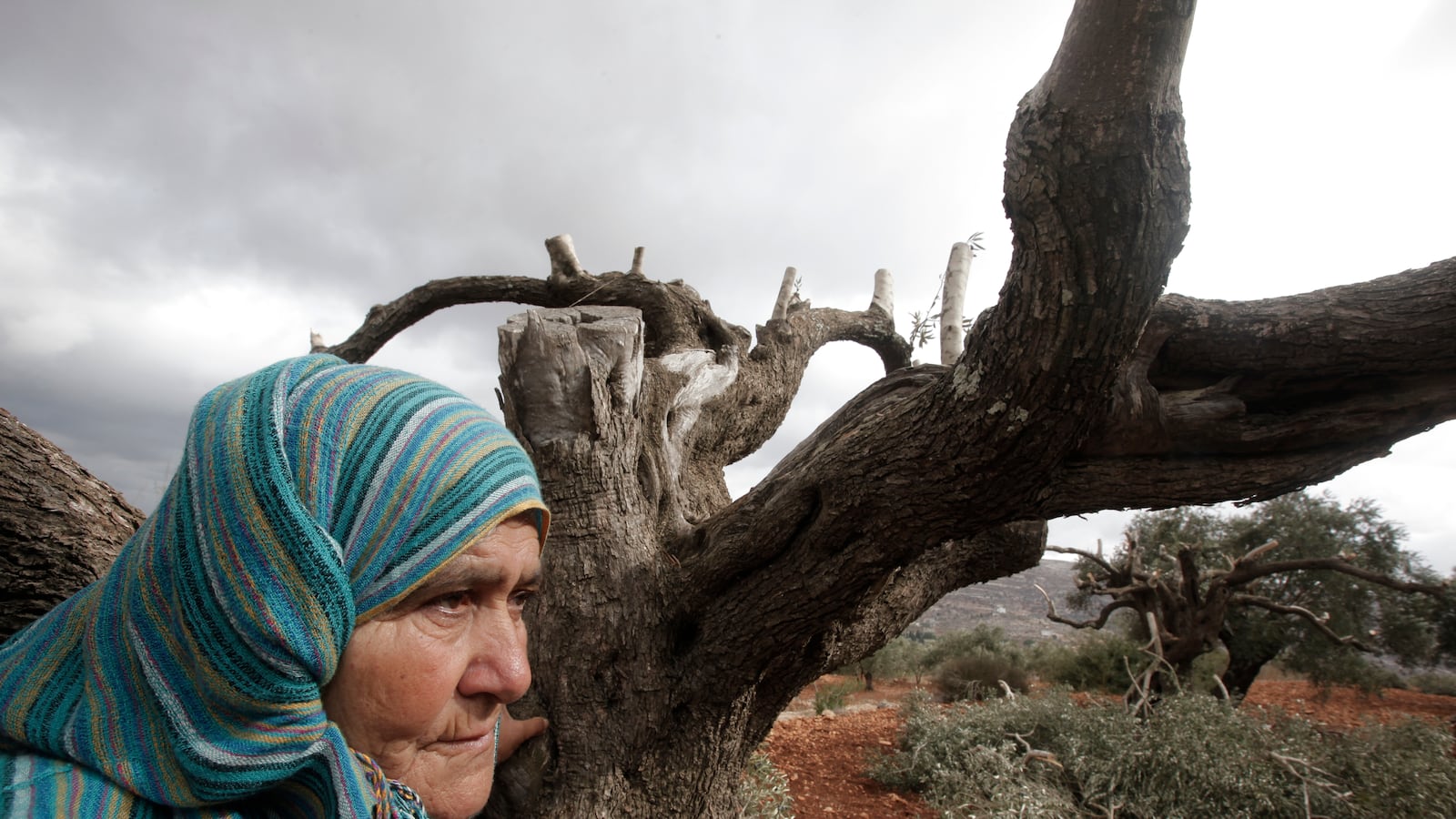 articles/2013/10/31/settler-violence-think-of-it-like-burning-down-a-jewish-business/185345462_nmf45i