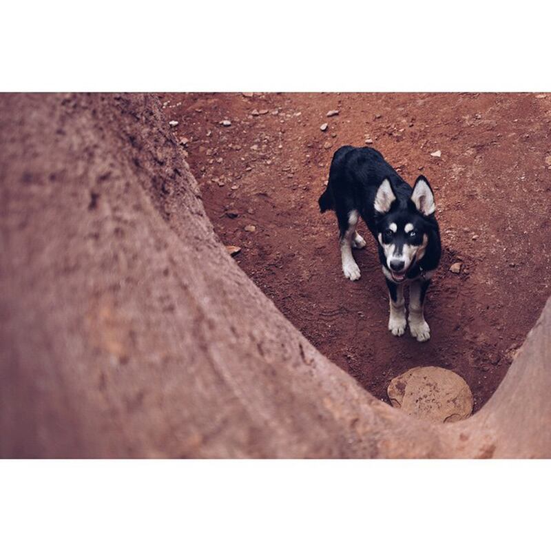 galleries/2015/06/21/instagrammer-of-the-week-taylorfreesolo/150619-instagram-week-10_kzq6yh