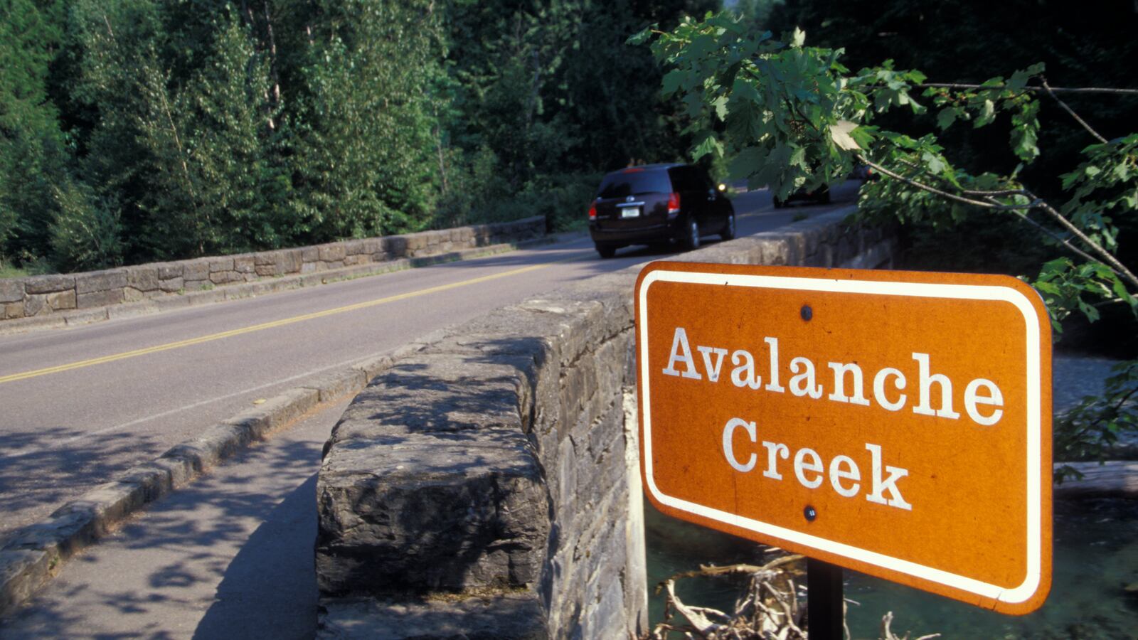 Avalanche Creek at Glacier National Park