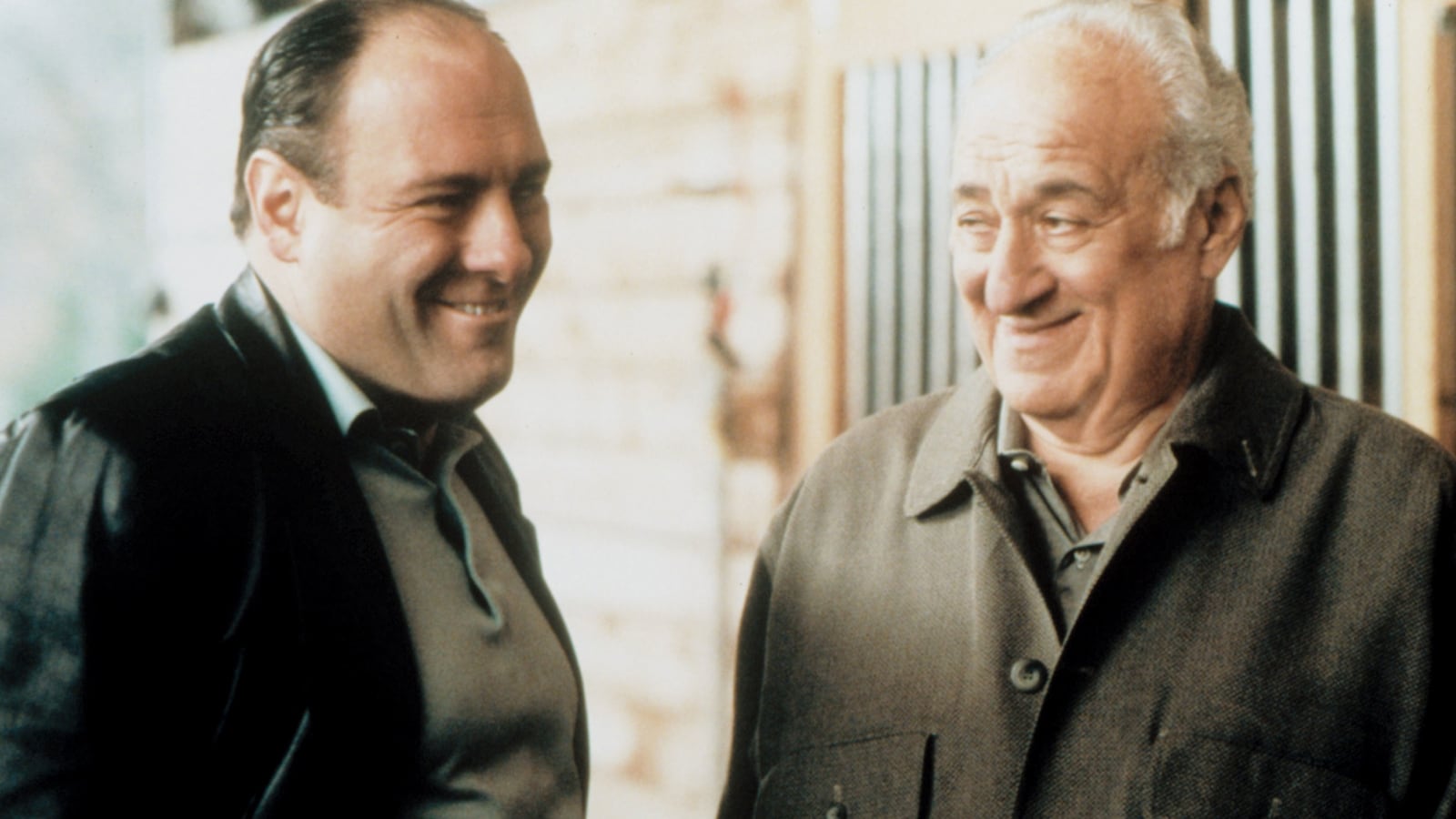 James Gandolfini, Jerry Adler