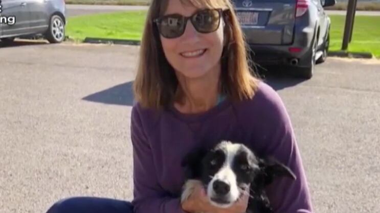 Screen_Shot_2019-09-20_at_10.31.17_PM_oapowx