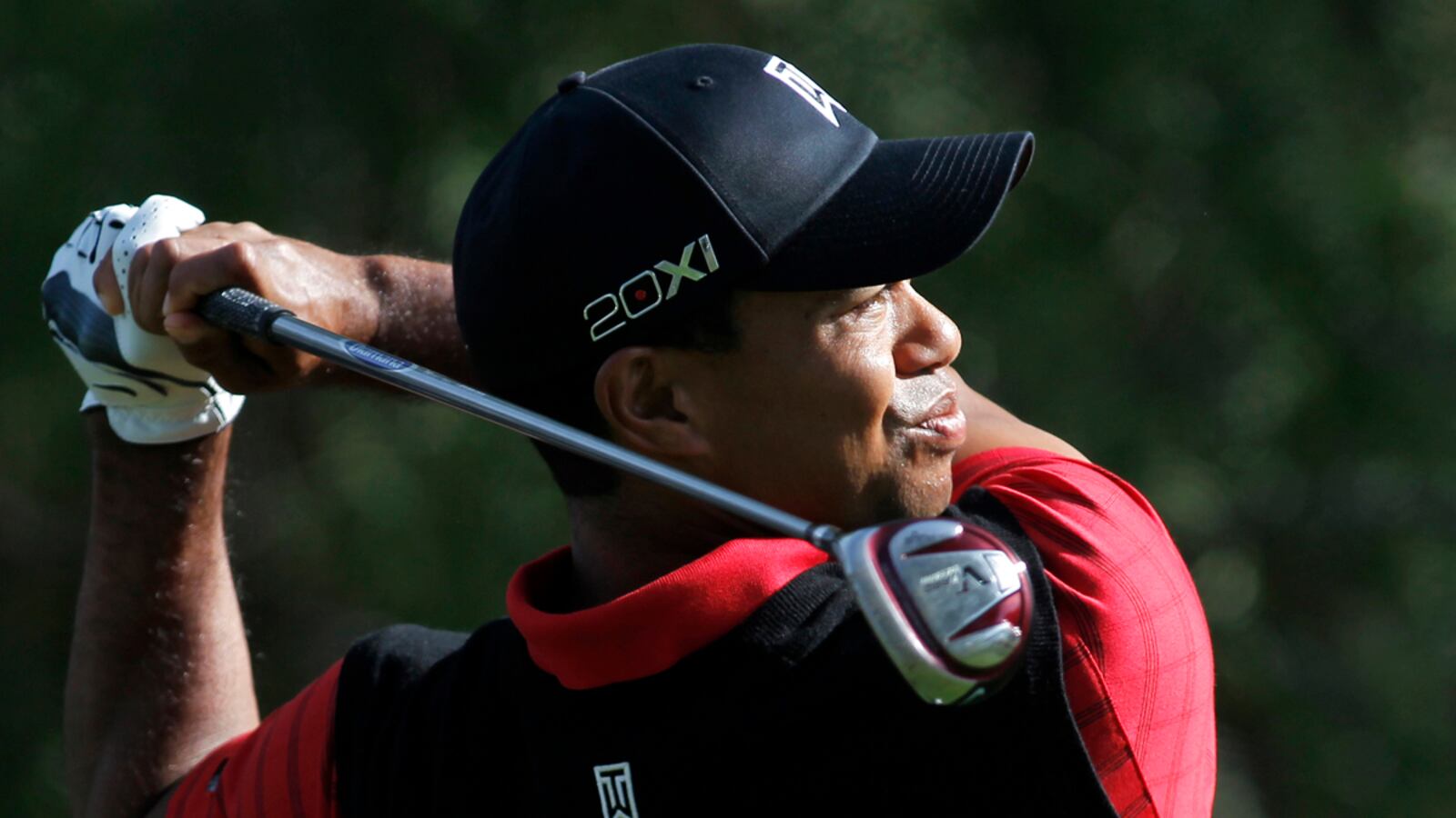 cheats/2011/12/04/tiger-woods-wins-first-title-in-2-years/tiger-woods-wins-cheat_urv7lb