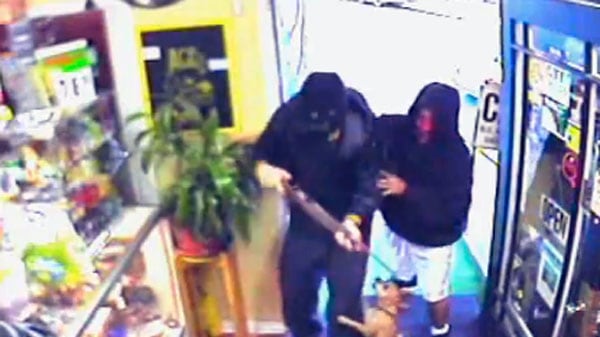 cheats/2011/07/19/chihuahua-scares-off-robbers/chihuahua-robbery-los-angeles-cheat_i4alsz