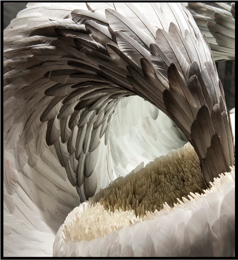 galleries/2014/03/29/birds-of-paradise-feathers-in-fashion-at-antwerp-s-fashion-museum-photos/gal-birds-paradise-13_hhuy8p