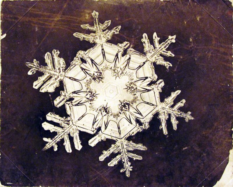 galleries/2010/01/26/the-art-of-the-snowflake/snow-crystals---9_muxgru