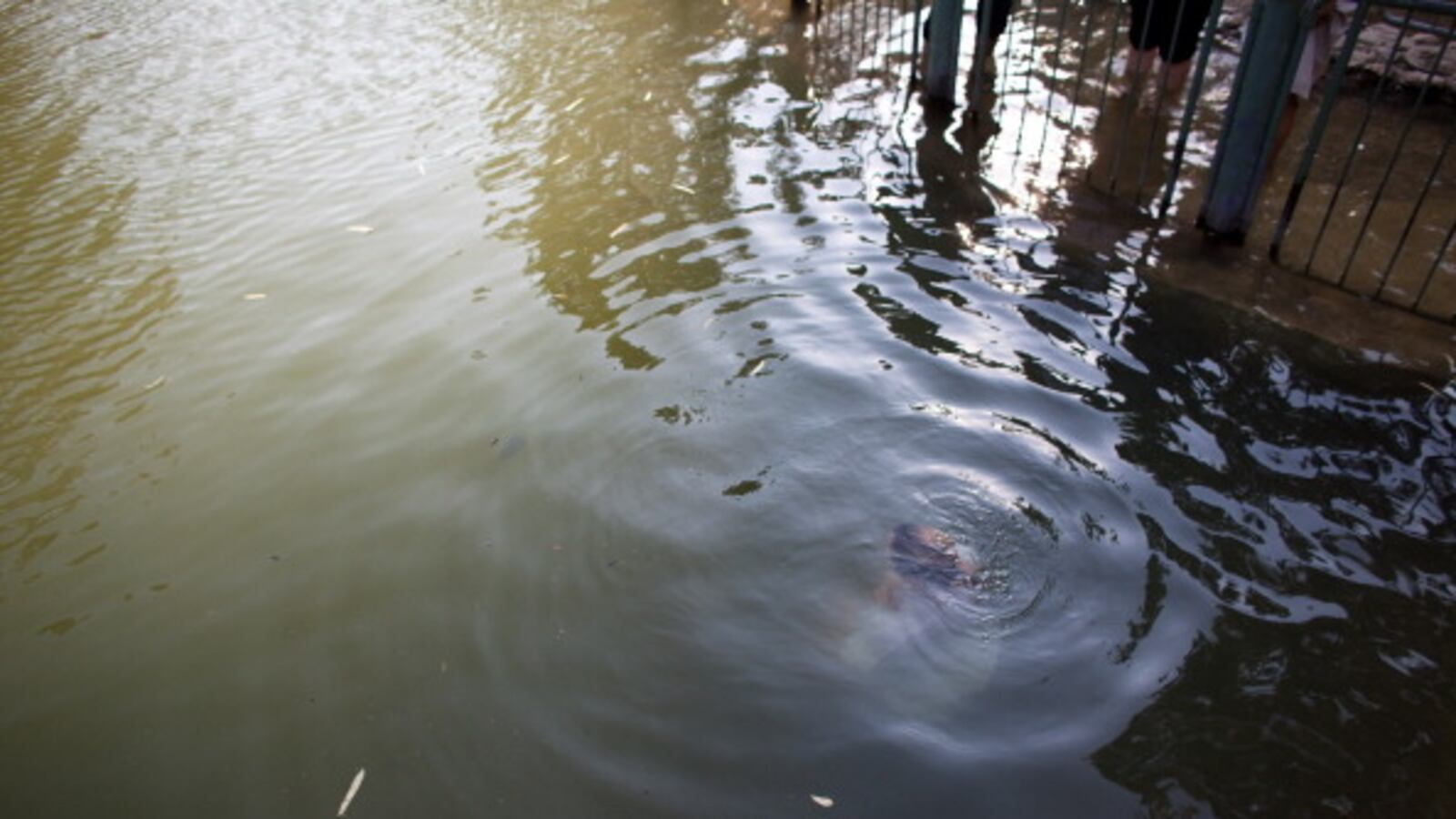 articles/2012/10/04/good-news-for-the-holy-land-s-actual-land/jordanriver-openz-jpeg_dunwgb