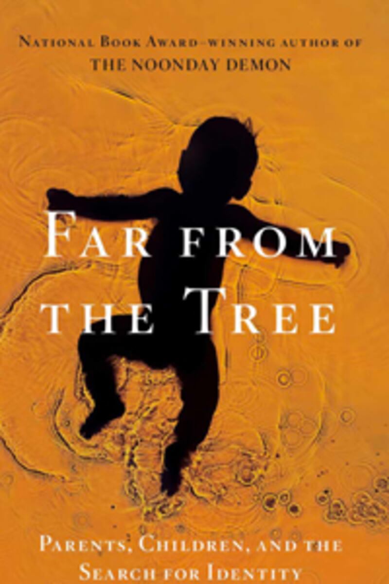 articles/2012/12/06/lucas-wittman-salman-rushdie-s-memoir-other-favorite-books-of-2012/favorite-book-2012-far-from-tree_cxvjhs