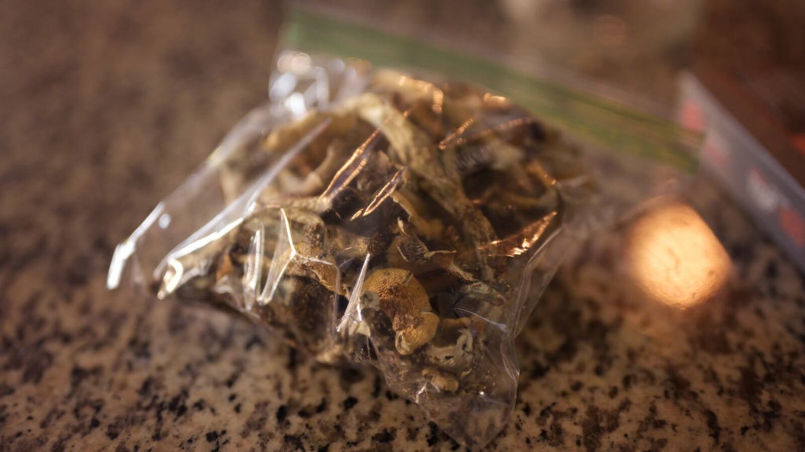 Psilocybin mushrooms.