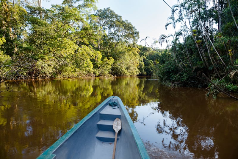 220309-ecuador-embed-amazon_iidhh3