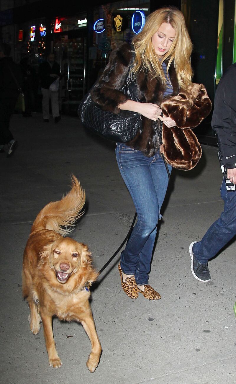 galleries/2012/11/03/blake-lively-usher-more-celebrities-crazy-about-their-dogs-photos/blake-lively-celeb-dogs_xf2wqx
