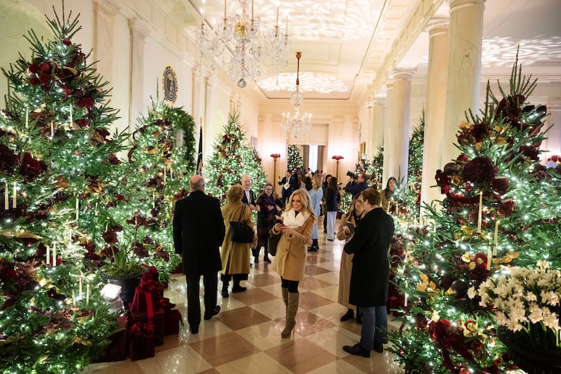 Trees in the Cross Hall