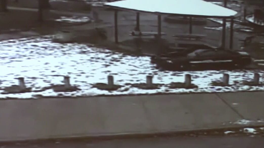 cheats/2014/11/26/cop-immediately-killed-12-year-old-boy/141126-tamir-rice-cheat_p2zkjc