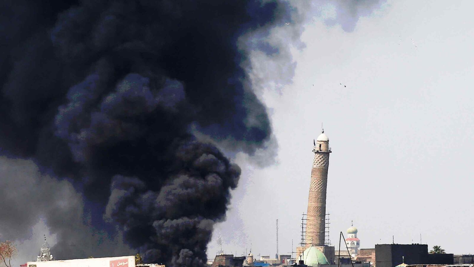 articles/2017/04/06/why-are-more-muslim-civilians-dying-under-trump/170405-dean-o-isis-muslim-tease_trnjpz