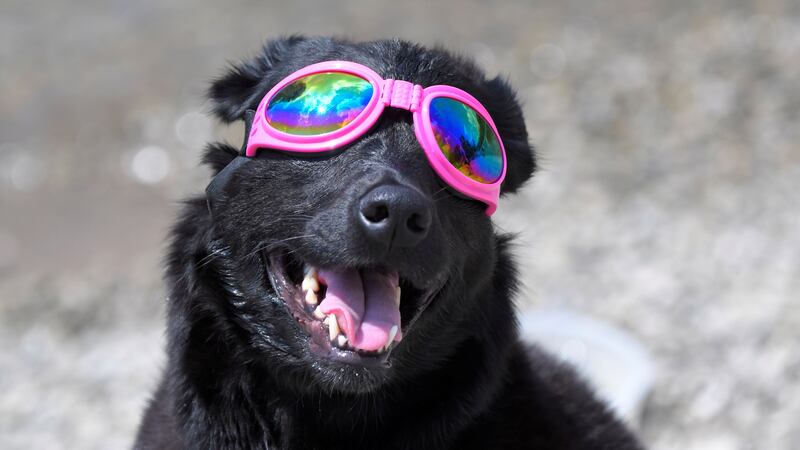 170821-eclipse11_g9i2xd