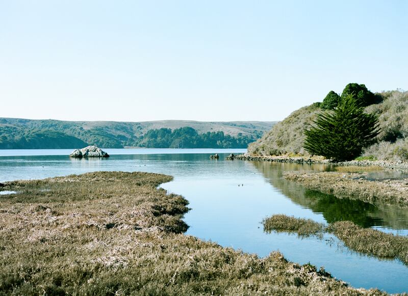 articles/2015/07/11/go-hog-wild-for-oysters-near-san-francisco/150713-sponsor-oysters-embed2_bcdhly