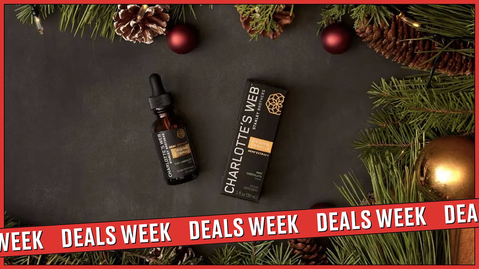 charlottesweb_cvhpwz