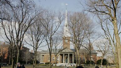 cheats/2011/11/21/havard-inundated-with-early-applications/illegal-harvard-student_143878_bl3i8q