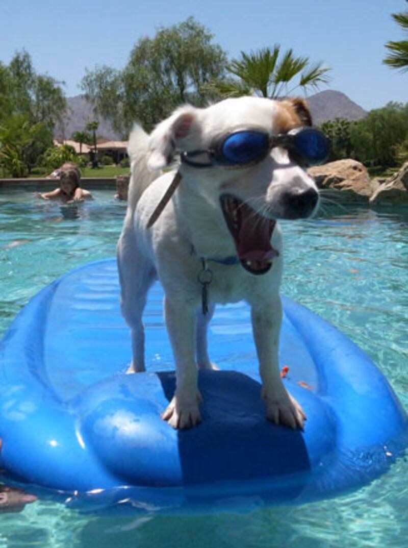 galleries/2010/07/28/best-celebrity-twit-pics/twitpi728---mayer_taqze5