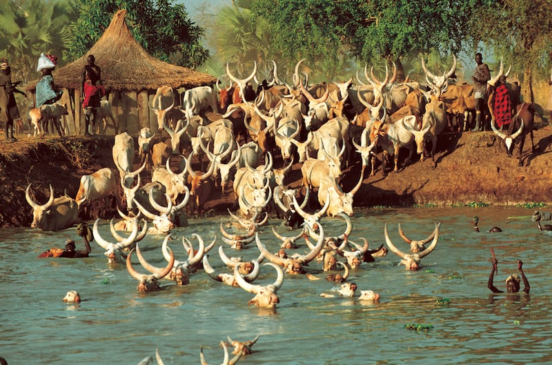 galleries/2010/10/19/dinka-legendary-cattle-keepers-of-sudan/dinka-10_o8bjgw