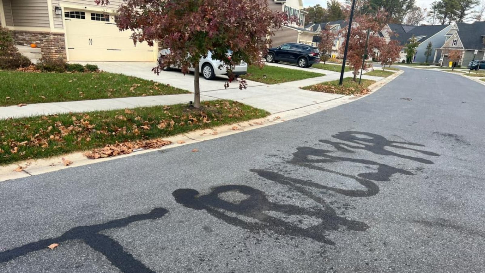 The words "Trump" and "USA," which a Maryland man allegedly burned into the pavement outside his house using a flamethrower.