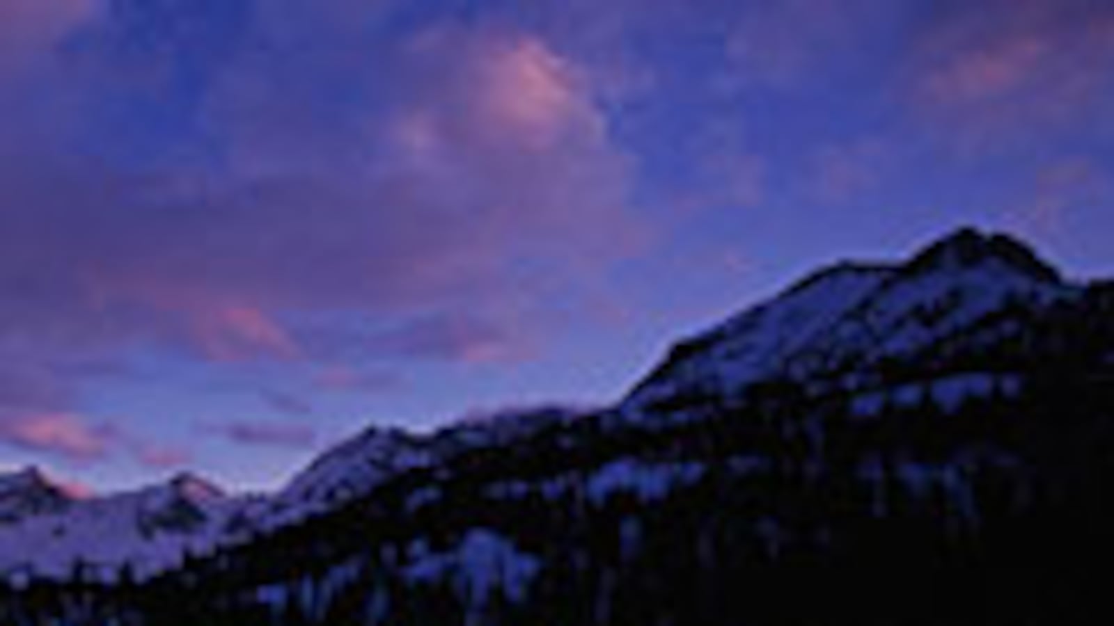 articles/2009/04/15/the-most-dangerous-novel-in-america/nelson-dangerous-novel_22483_c1s8ra