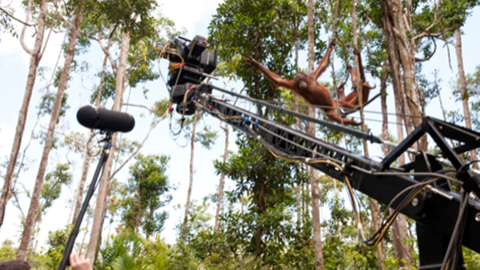 videos/2012/10/23/born-to-be-wild-on-location-wild-filmmaking/born-to-be-wild-on-location-wild-filmmaking-image_sn8anu