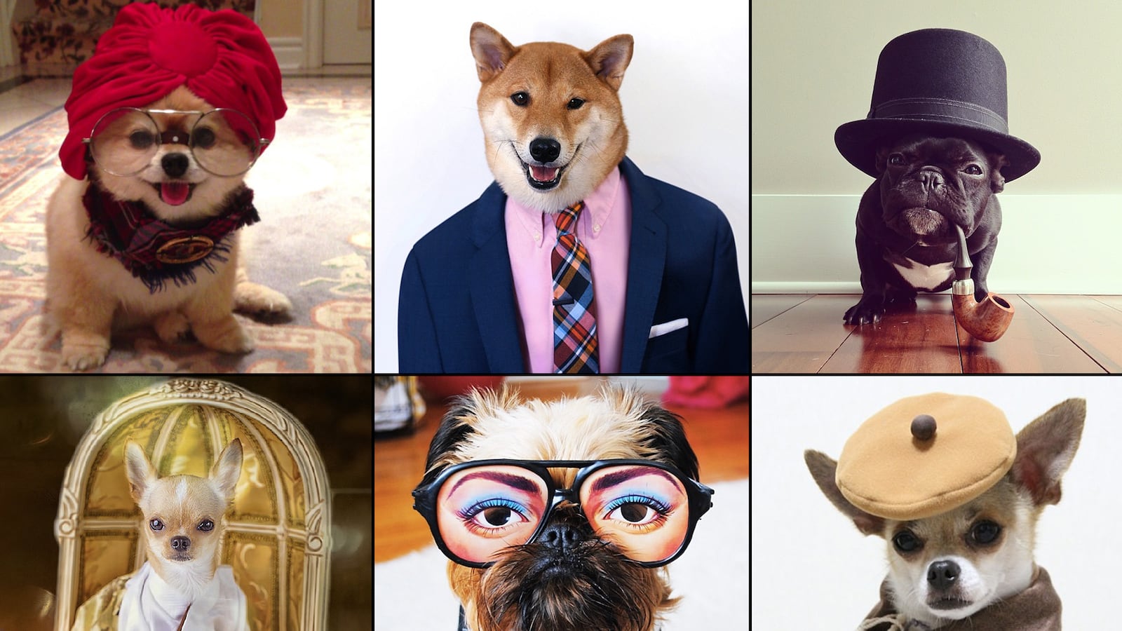 galleries/2013/08/13/the-11-best-dressed-dogs-of-instagram-photos/130813-most-fashionable-dogs-tease_hm7asx