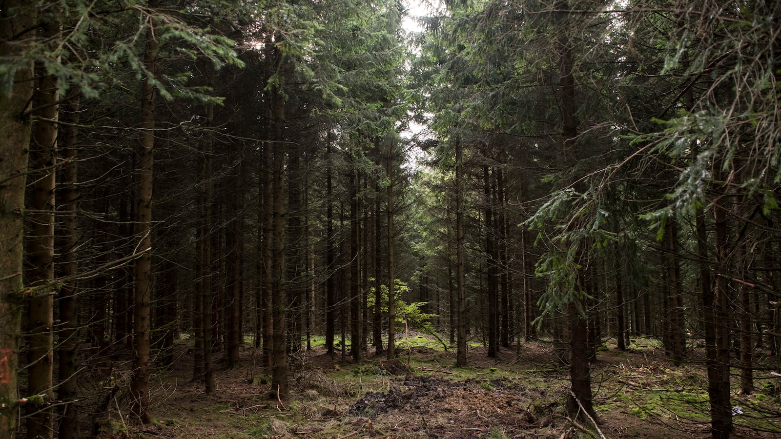 GettyImages-615198254_adlf54