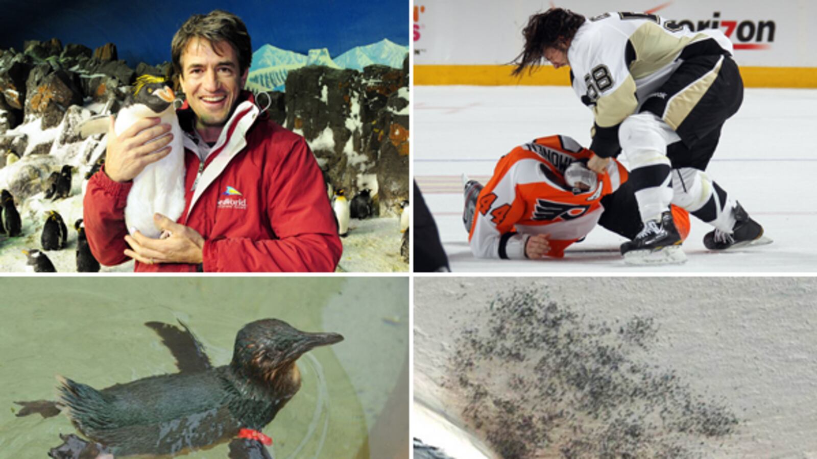 galleries/2012/04/25/happy-world-penguin-day-celebration-of-the-headline-making-creatures-photos/penguin-headlines-teaser_ojimec