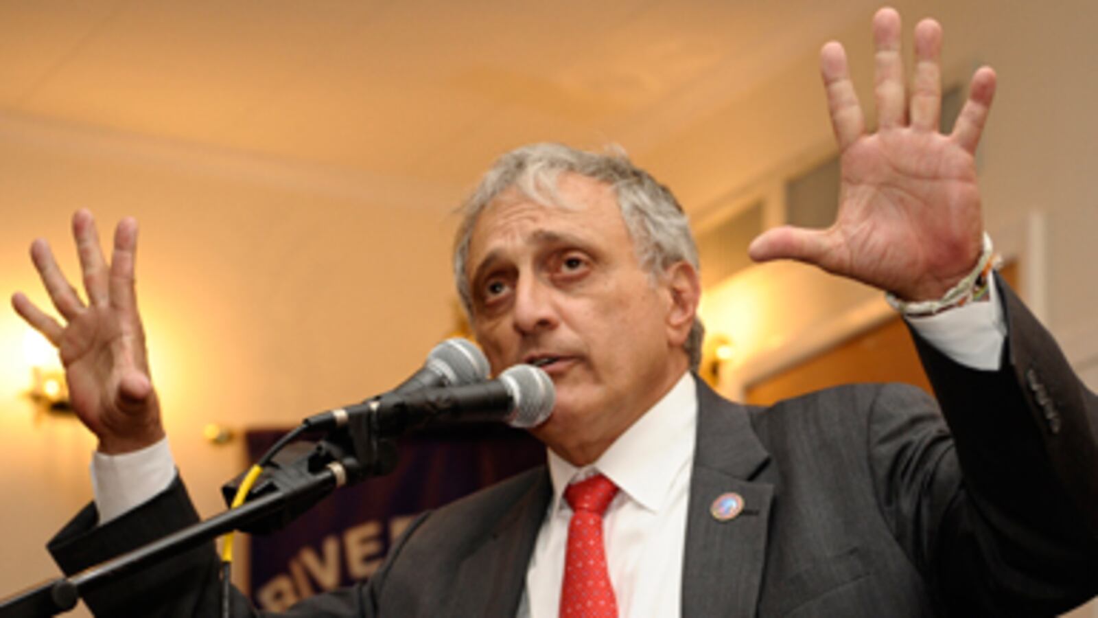 articles/2010/10/11/carl-paladino-fun-facts-love-child-democrat-past-more/stern-paladino_132985_xvh6oq