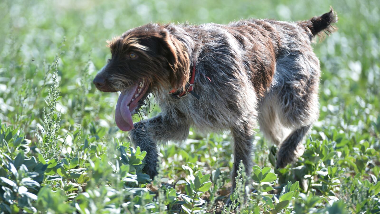 GettyImages-1043716752_1_fzxcx6