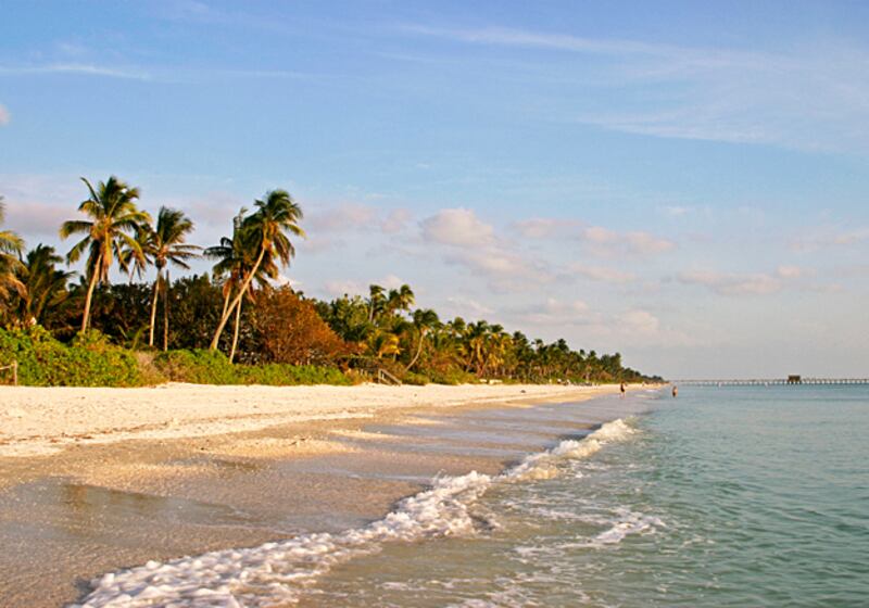 galleries/2010/11/09/vet-capitals/vet-capitals---naples_hoixak