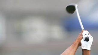 galleries/2010/11/15/tiger-s-ladies/tigers-ladies---nike_tzwpvt