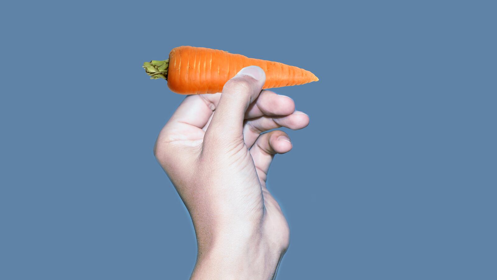 articles/2015/10/24/14-year-old-girl-faces-charges-for-throwing-baby-carrot-at-teacher/151023-swin-carrot-tease_fkwzdh