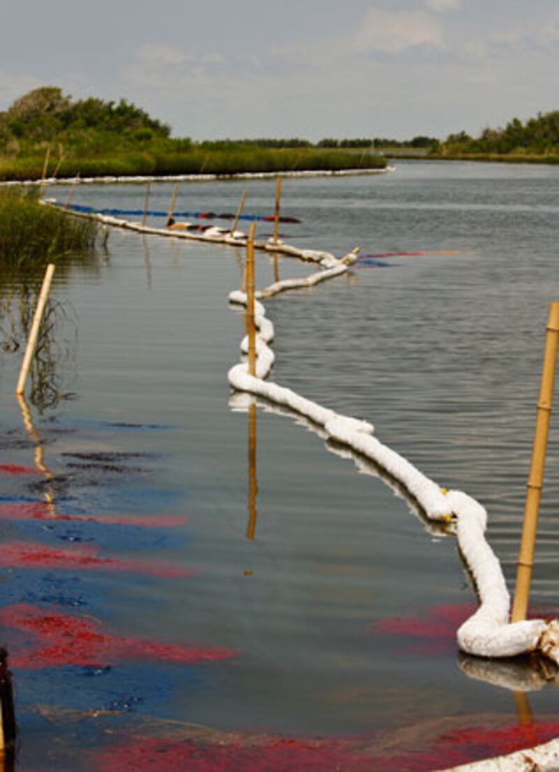 galleries/2010/07/13/oil-cleanup/oil-cleanup---11_djhyxd
