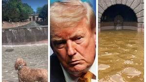 Trump fountain DC