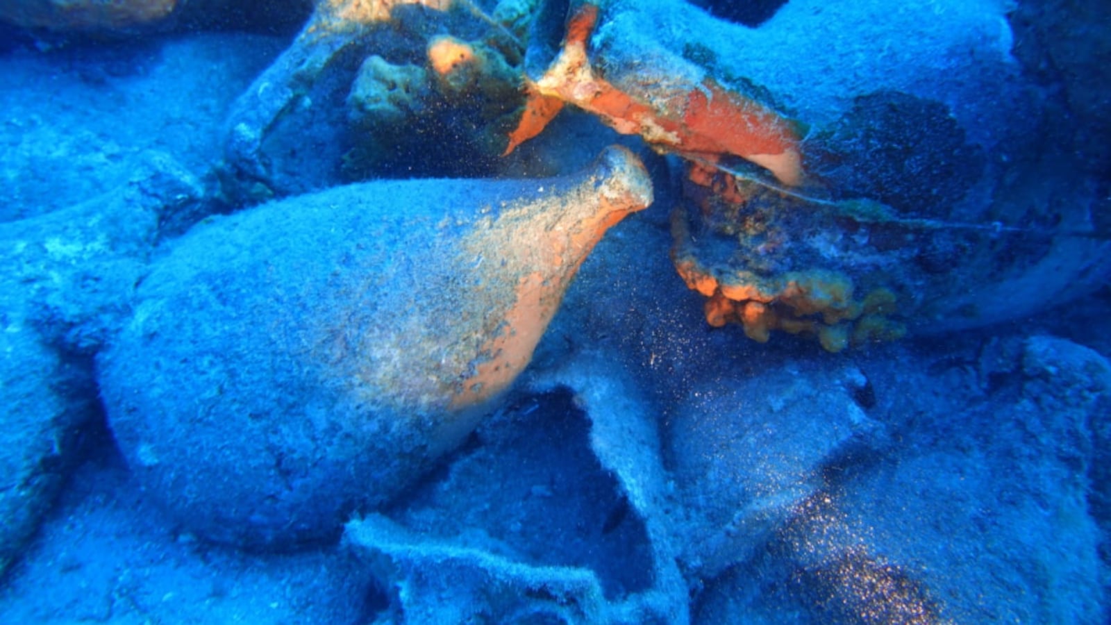 Amphoras discovered on a Greek shipwreck.