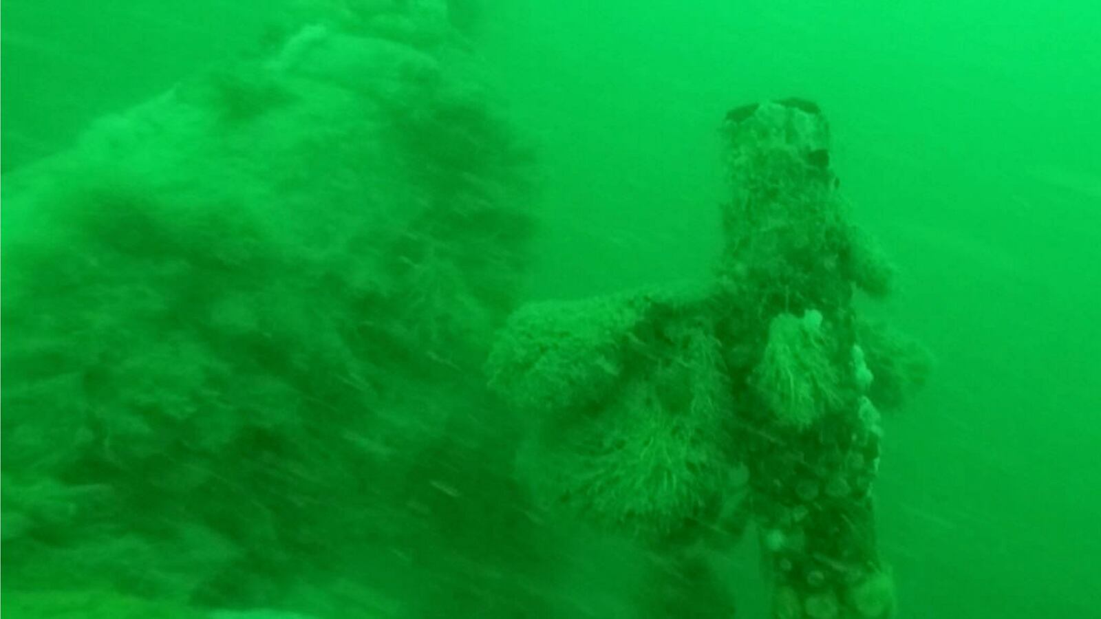 HANDOUT-SUBMARINE_yi52xq