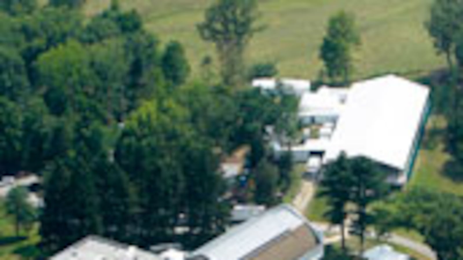 articles/2010/07/29/norwegian-journalists-arrested-chelsea-clintons-wedding/bernstein-clinton-wedding_116772_wk086w