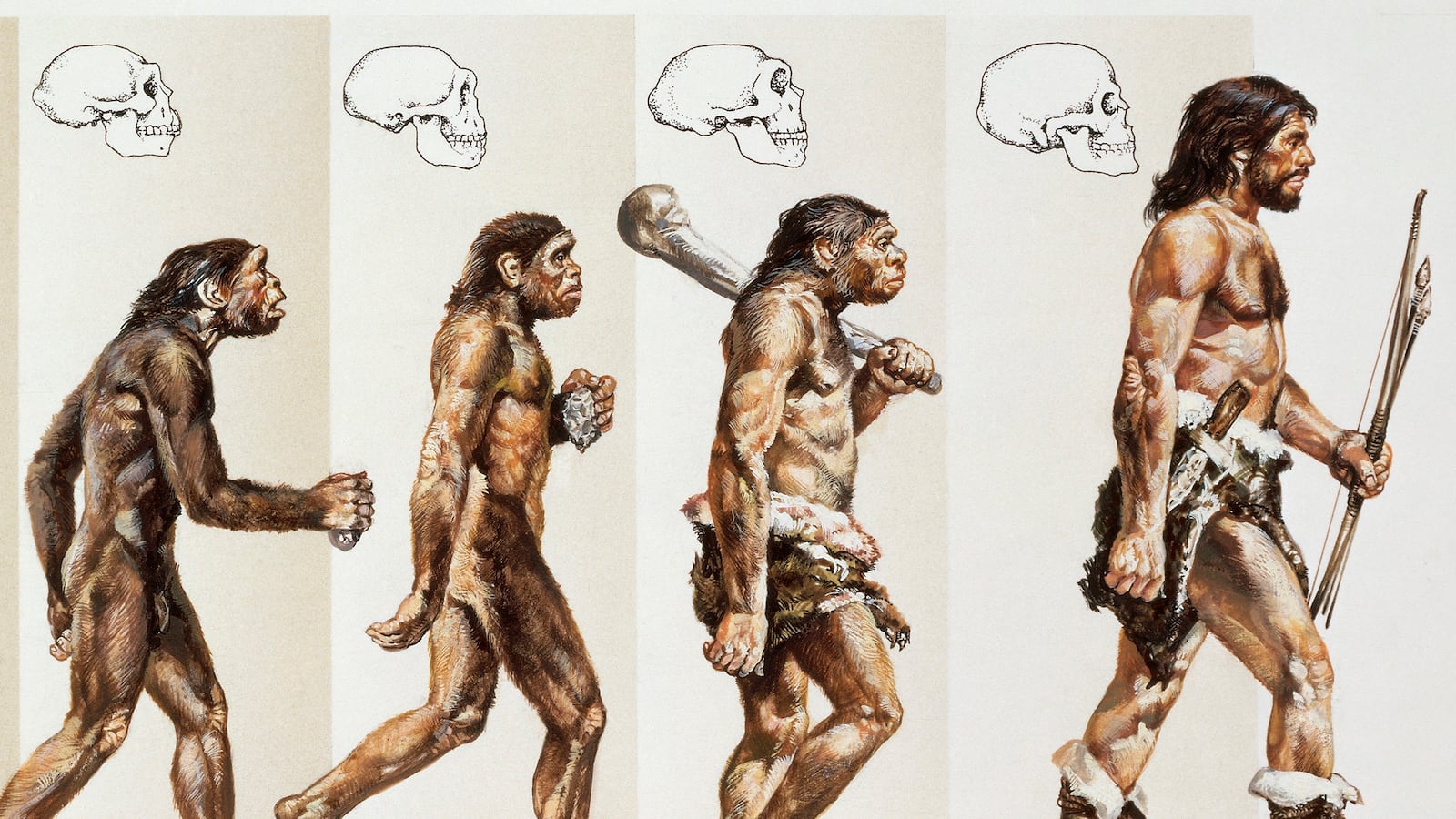 articles/2014/01/02/2013-was-a-terrible-year-for-evolution/131231-pew-evolution_ppmm7r