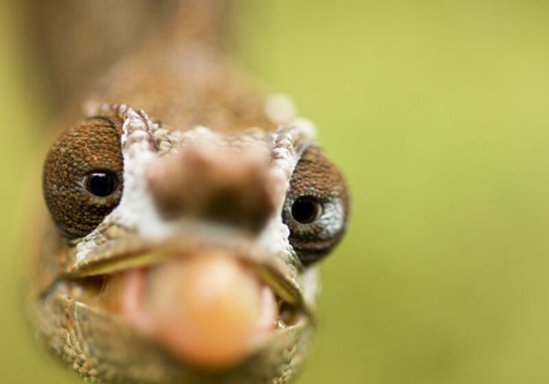 galleries/2010/03/18/life/life---10_xitahj