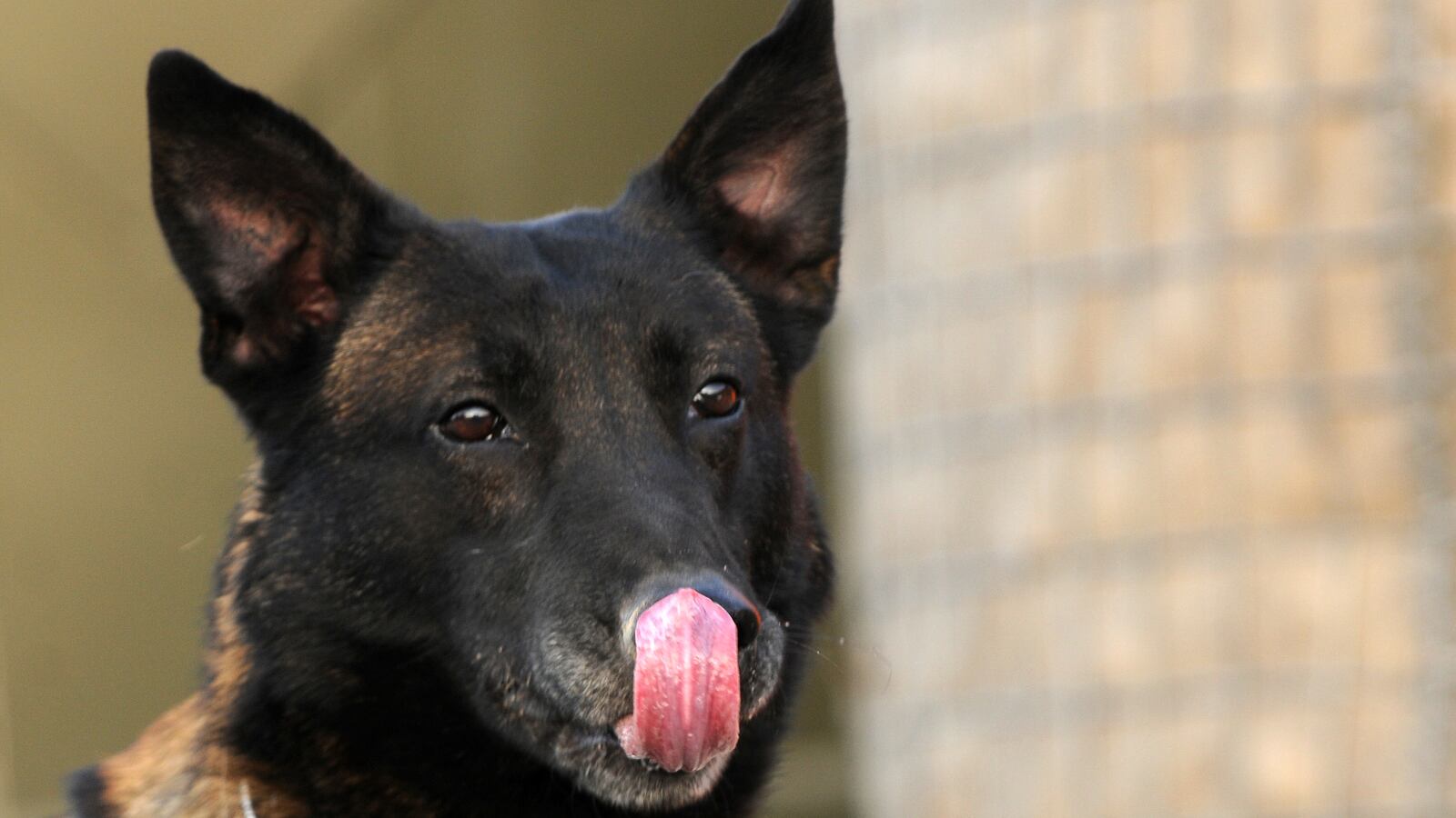 GettyImages-94105388_hutzwx