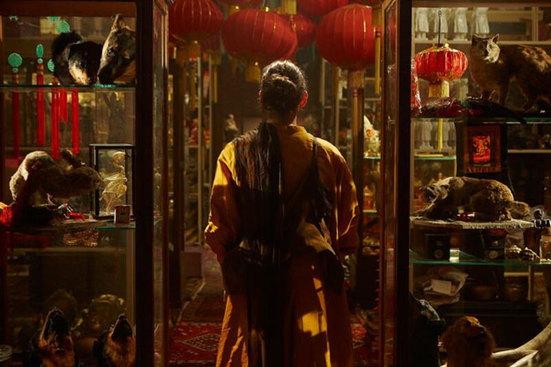 galleries/2009/06/01/national-pavilions/national-pavilion-6_ps9zjr