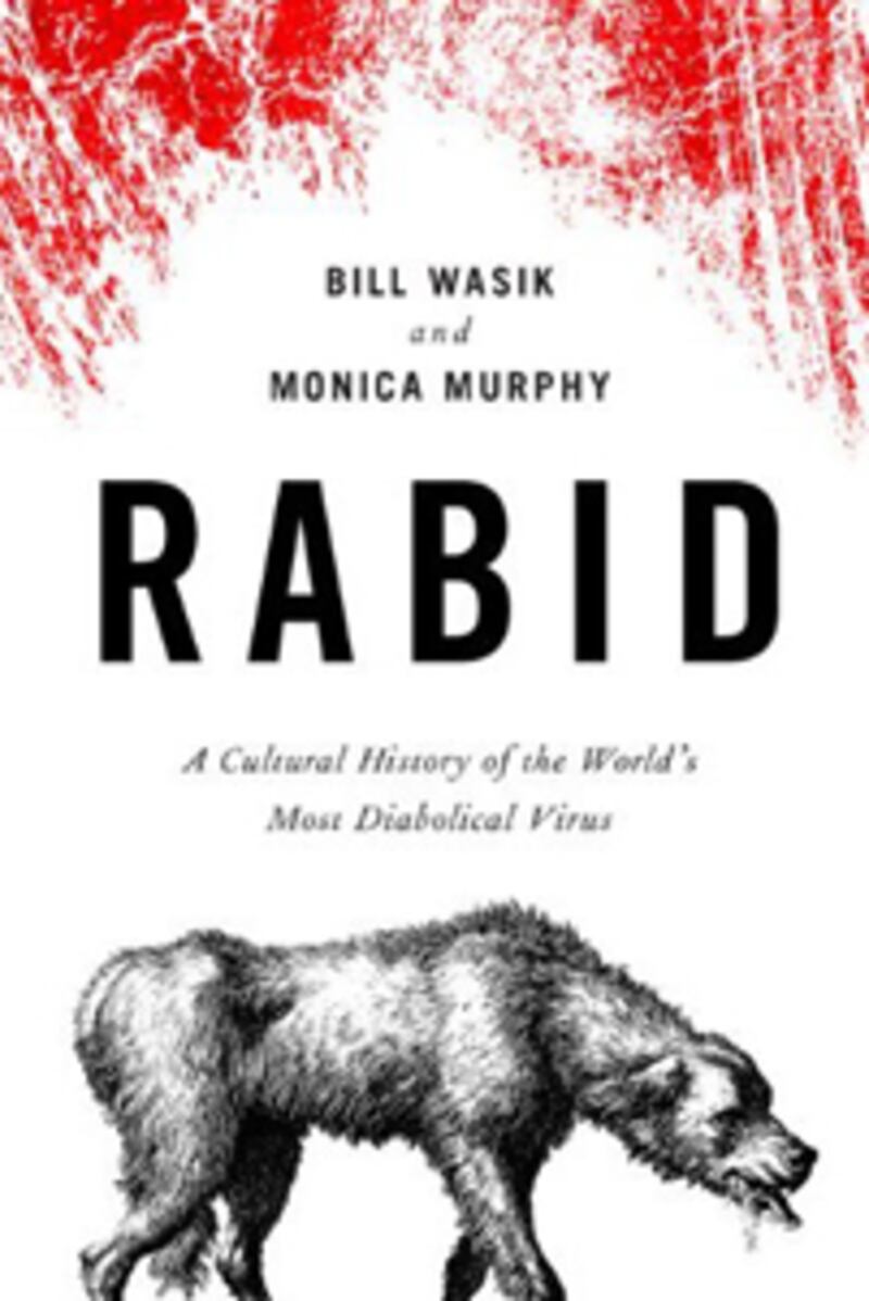 articles/2012/07/16/this-week-s-hot-reads-july-16-2012/rabid-wasik-bookcover_ktfzlw