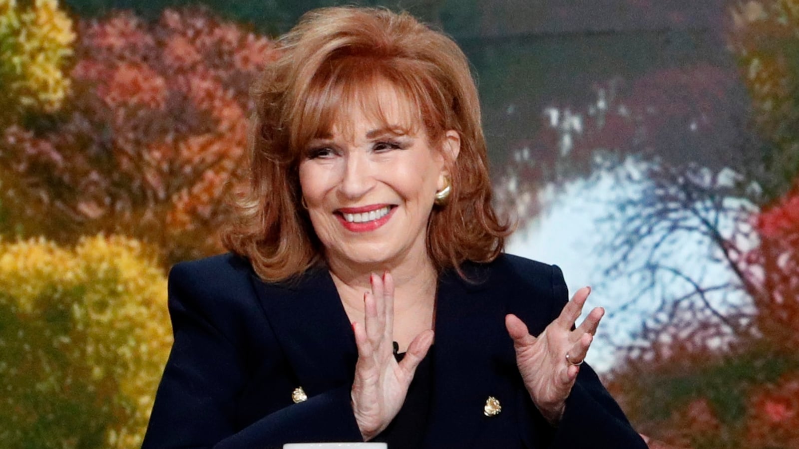 Joy Behar on The View.