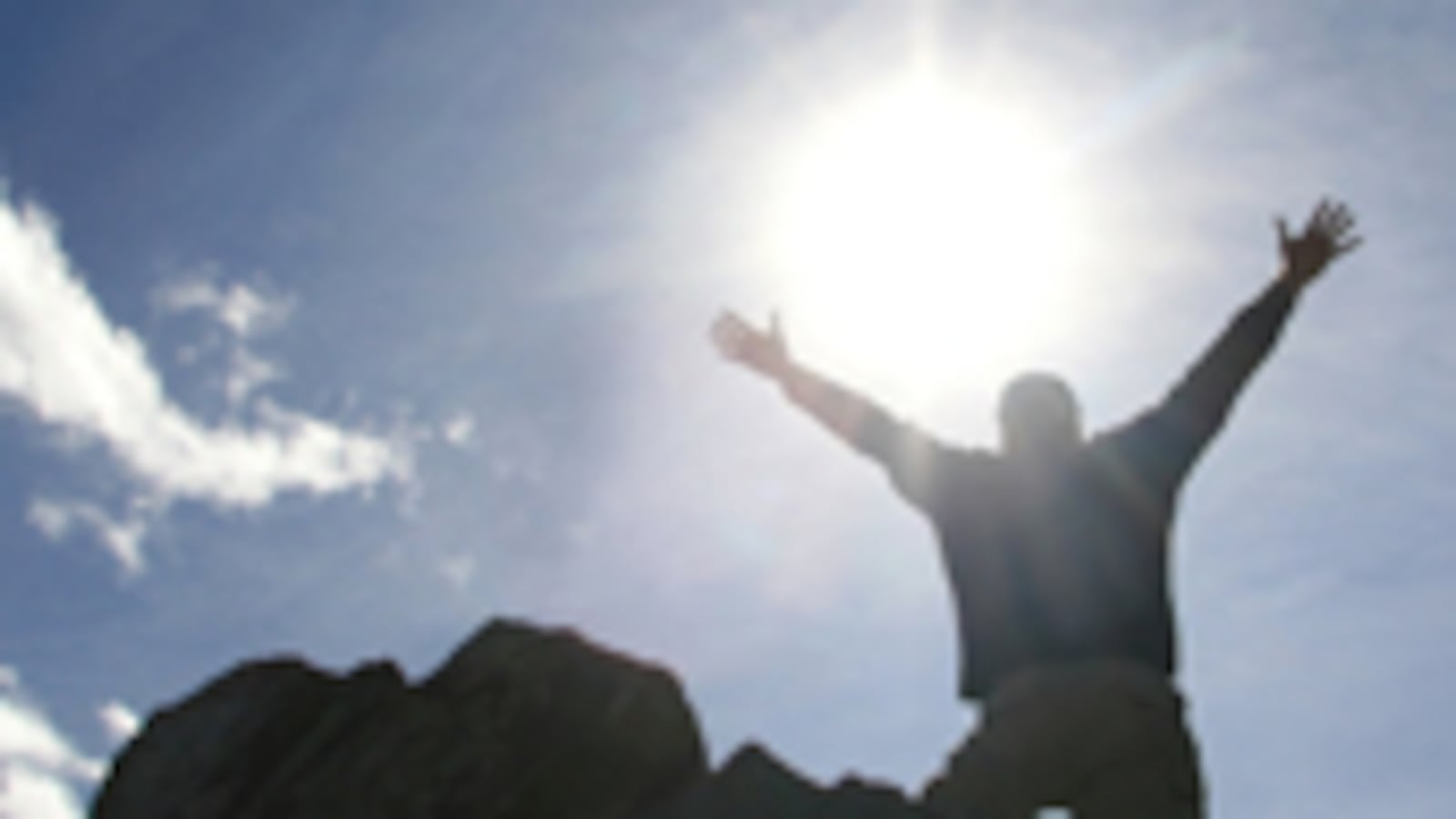 articles/2010/11/04/michael-krasny-agnostic-manifesto/aslan-agnostic_138906_w7s8s0