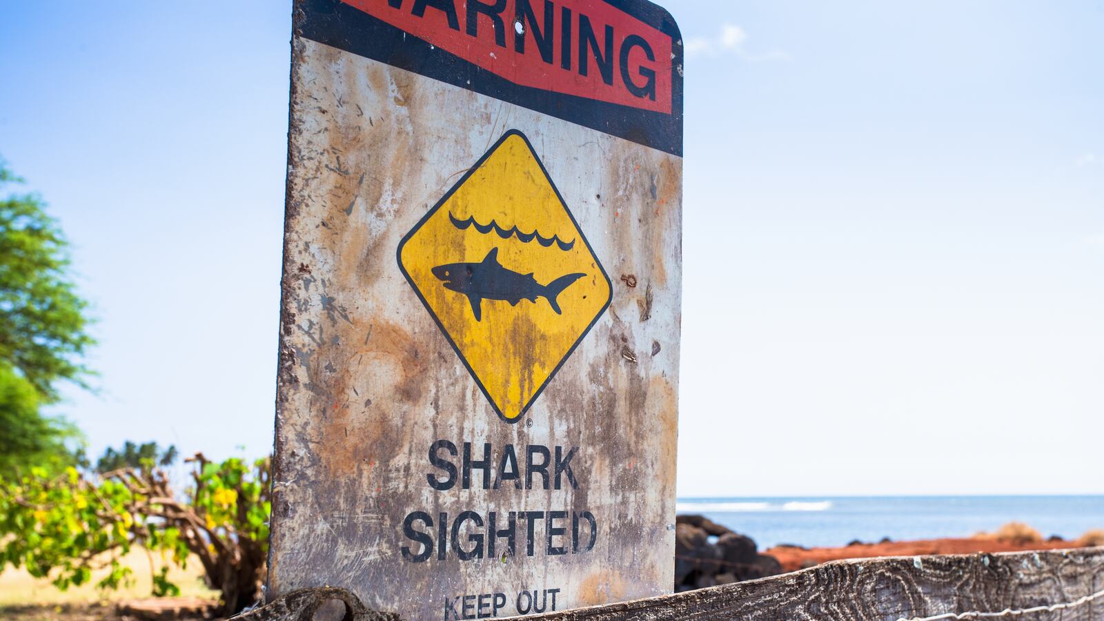 GettyImages-502795289_zacvlq